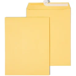 Sale Staples EasyClose Kraft Catalog Envelopes, 10"L x 13"H, Brown, 250/Box (479889/14238)