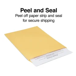 Online Staples EasyClose Self Seal #10 1/2 Kraft Catalog Envelope, 9" x 12", Brown, 250/Box (ST479888-CC)