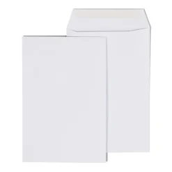Discount Staples Economy Gummed Catalog Envelopes, 6" x 9", White, 250/Box (50303T)