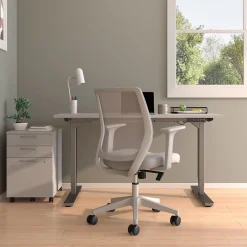 Ergonomic Chairs*Staples Essentials Ergonomic Fabric Swivel Task Chair, (UN58149) Gray
