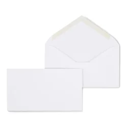 New Staples Gummed #6 Business Envelopes, 3 5/8" x 6 1/2", White, 500/Box (187005N)