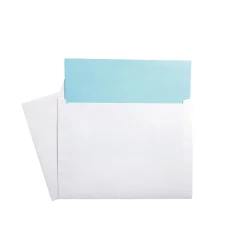 Clearance Staples Gummed Booklet Envelopes, 9