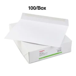 Staples Gummed Booklet Envelopes, 10