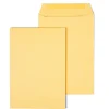 Sale Staples Gummed Kraft Catalog Envelopes, 6.5" x 9.5", Brown, 100/Box (SPL534701)
