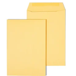 Sale Staples Gummed Kraft Catalog Envelopes, 6.5" x 9.5", Brown, 100/Box (SPL534701)