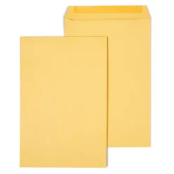 Clearance Staples Gummed Kraft Catalog Envelopes, 10"L x 15"H, Brown, 100/Box (SPL534768)