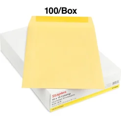Clearance Staples Gummed Kraft Catalog Envelopes, 10
