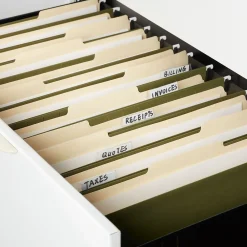 Hanging File Folders|Staples Heavy Duty Box Bottom Hanging File Folder, 2