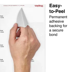 Clearance Staples Laser/Inkjet Shipping Labels, 2