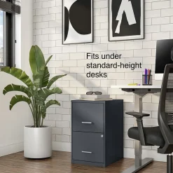 File Cabinets*Staples Light Duty 2-Drawer Mobile Vertical File Cabinet, Letter Size, Lockable, 24.1