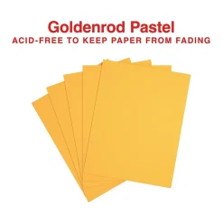 Multipurpose Paper*Staples Pastel 30% Recycled Color Copy Paper, 20 lbs., 8.5