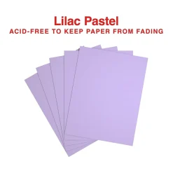 Multipurpose Paper*Staples Pastel 30% Recycled Color Copy Paper, 20 lbs., 8.5