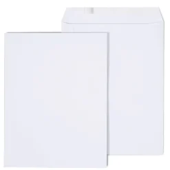 Staples QuickStrip EasyClose Self Seal Catalog Envelopes, 10" x 13", White, 100/Box (ST379476N-CC)