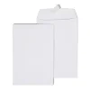 Hot Staples QuickStrip EasyClose Self Seal #1 Catalog Envelopes, 6" x 9", White, 100/Box (ST892099N-CC)