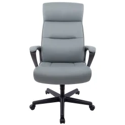 Ergonomic Chairs*Staples ® Rutherford Ergonomic Faux Leather Swivel Executive Chair, (58677V) Gray