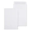 Outlet Staples Self Seal #1 Catalog Envelopes, 6"L x 9"H, White, 100/Box (SPL609121)