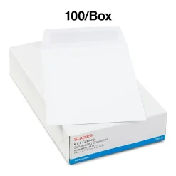 Outlet Staples Self Seal #1 Catalog Envelopes, 6