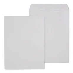 Hot Staples Self Seal Catalog Envelopes, 9"L x 12"H, White, 100/Box (19295VP)