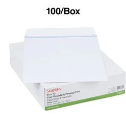Hot Staples Self Seal Catalog Envelopes, 10