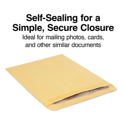 Clearance Staples Self Seal Kraft Catalog Envelopes, 10"L x 13"H, Brown, 100/Box (534818/19022)