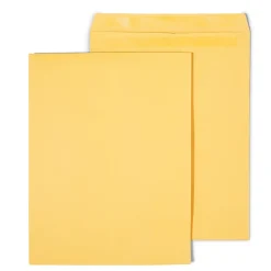 Discount Staples Self Seal Kraft Catalog Envelopes, 12" x 15.5", Brown, 100/Box (534826/17102)