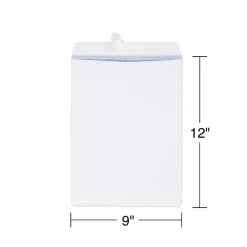Clearance Staples Self Seal Security Tinted Catalog Envelopes, 9