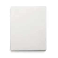 Pocket Folders|Staples Smooth 2-Pocket Paper Folder, , 25/Box (27537-CC) White