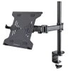 Laptop Desk Mount 34" for Laptops, Black (A-LAPTOP-DESK-MOUNT)<StarTech Discount