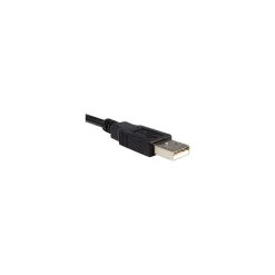 StarTech ® USB to Parallel M/M Printer Adapter, 6'