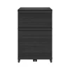 File Cabinets*Thomasville Furniture Latimer 2-Drawer Vertical File Cabinet, Pedestal, Burnt Ash, 20.8"D (SPLS-LADF-TV)