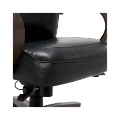 Office Chairs*Thomasville Furniture Lockhart Ergonomic Bonded Leather Swivel Executive Chair, Black (51494-BLK)