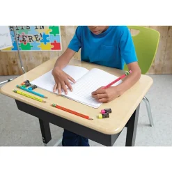 Pencils|Ticonderoga My First Tri-Write Wood-Cased Pencils, Neon Assorted, 12/Pack, 2 Packs/Bundle (DIX13012-2)