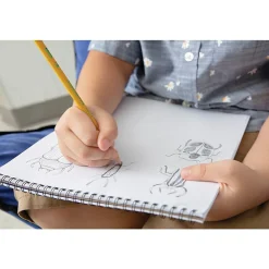 Pencils|Ticonderoga The World's Best Pencil Wooden Pencil, 2.2mm, #2.5 Medium Lead, Dozen (X13885X)