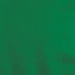 Touch of Color Beverage Napkin, 2-ply, Green, 150 Napkins/Pack (DTC139184154BNP)