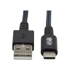 Tripp Lite 10' USB A to C Cable, Gray (U038-010-GY-MAX)