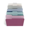 File Folders|TRU RED ™ File Folders, 3-Tab, Letter Size, Assorted Jewel Tone Colors, 100/Pack (TR58172)