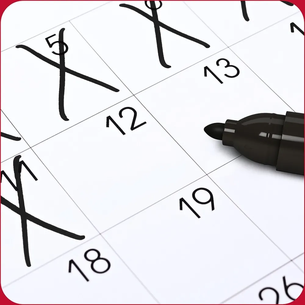 Markers|TRU RED ™ Permanent Marker, Fine Tip, Assorted, 12/Pack (TR54530)