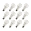Viribright 15-Watt Warm White LED General-Purpose Bulb, Dozen (651638-12ES)