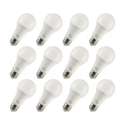 Viribright 15-Watt Warm White LED General-Purpose Bulb, Dozen (651638-12ES)