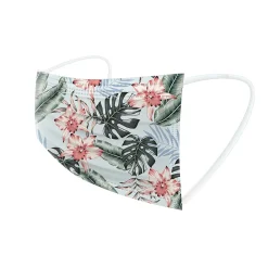 WeCare 3-ply Disposable Face Masks, Kids, Assorted Summer Designs, 50/Box (WMN100101)