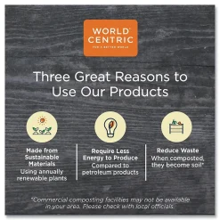 World Centric 100 Percent PCW Recycled Multifold Paper Towels, 1-Ply, Natural, 250/Pack, 16 Packs/Carton (WORTWPAMF)