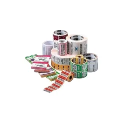 Labels|Zebra Z-Select 4000D Barcode Thermal Transfer Label, 3" x 1", Bright White, 840 Labels/Roll, 6 Rolls/Box (10010036)